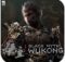Black Myth: Wukong Icon