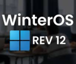 WinterOS icon
