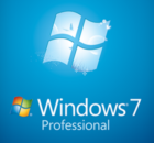 Windows 7 Professional Icon