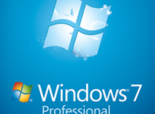 Windows 7 Professional Icon