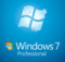 Windows 7 Professional Icon