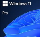 Windows 11 Pro Icon