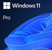 Windows 11 Pro Icon
