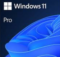 Windows 11 Pro Icon
