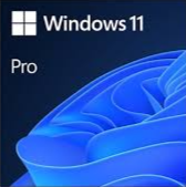 windows 11 pro 24h2 iso español