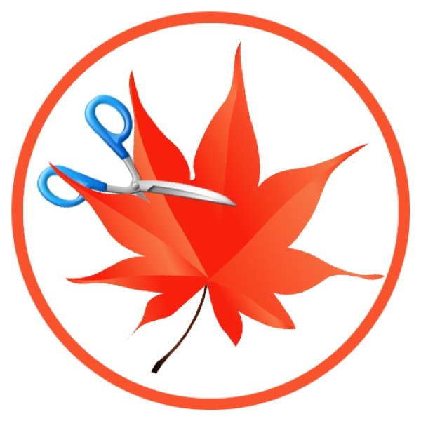 Descargar Easy Cut Studio Full Español Gratis