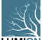 Zdescargas Lumion Pro Descargar Gratis